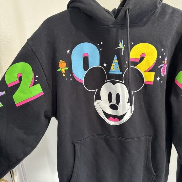 Disney World 2024 Mickey Mouse Hoodie Character Icons Figment Parks Neon Small - Picture 2 of 7